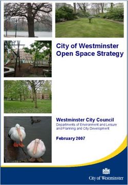 City of Westminster Open Space Strategy - Westminster City Council Departments of Environment and Leisure and Planning and City Development