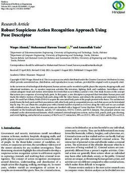 Robust Suspicious Action Recognition Approach Using Pose Descriptor