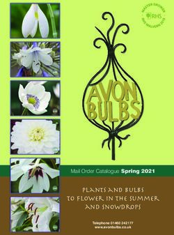 Plants and bulbs to flower in the summer and snowdrops - Mail Order Catalogue Spring 2021 - Avon Bulbs