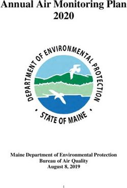 Annual Air Monitoring Plan 2020 - Maine Department of Environmental Protection Bureau of Air Quality August 8, 2019 - Maine.gov