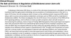 Ahmad Alnasser The Role of ER Stress in Regulation of Glioblastoma cancer stem cells Research Director: Dr. Christian Badr - cloudfront.net