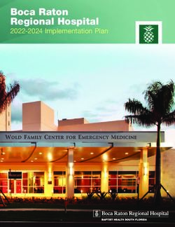 Boca Raton Regional Hospital - 2022-2024 Implementation Plan - Baptist ...