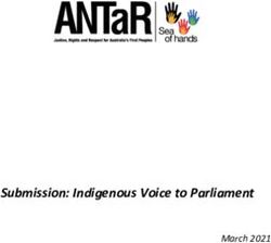 SUBMISSION: INDIGENOUS VOICE TO PARLIAMENT - MARCH 2021 - ANTAR