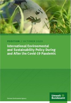 International Environmental and Sustainability Policy During and After the Covid-19 Pandemic - position // october 2020