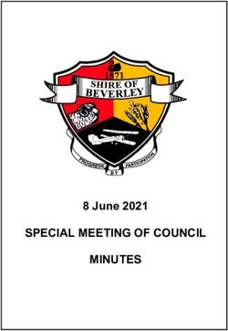 SPECIAL MEETING OF COUNCIL - MINUTES 8 June 2021