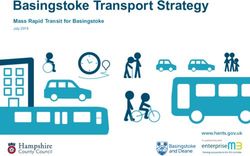 Basingstoke Transpor t Strategy - Hampshire County Council