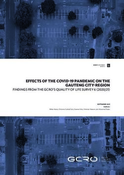 EFFECTS OF THE COVID-19 PANDEMIC ON THE GAUTENG CITY-REGION