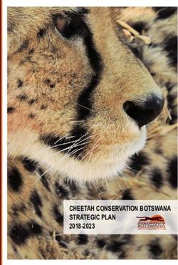 CHEETAH CONSERVATION BOTSWANA STRATEGIC PLAN - 2018-2023 BOTSWANA