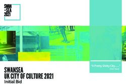SWANSEA UK CITY OF CULTURE 2021 - Initial Bid "A Pretty Shitty City "