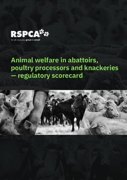 Animal welfare in abattoirs, poultry processors and knackeries - regulatory scorecard
