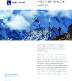 INVESTMENT OUTLOOK JANUARY 2021 - e-fundresearch.com