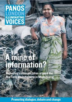 A mine of information? - Improving communication around the Rio Tinto ilmenite mine in Madagascar Promoting dialogue, debate and change