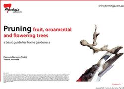 Pruning fruit, ornamental - and flowering trees a basic guide for home gardeners