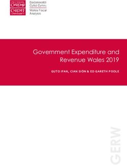Government Expenditure and Revenue Wales 2019 - GUTO IFAN, CIAN SIÔN & ED GARETH POOLE - Cardiff ...