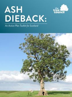 ASH DIEBACK: An Action Plan Toolkit for Scotland - The Tree Council