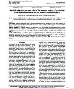 Rapid identification and genotyping of the honeybee pathogen Paenibacillus