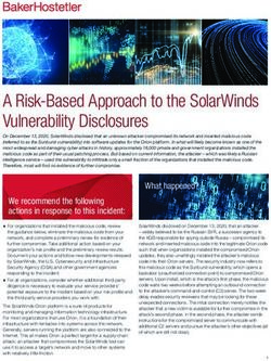 A Risk-Based Approach to the SolarWinds Vulnerability Disclosures