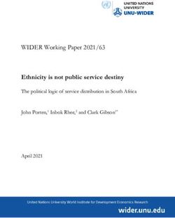 Ethnicity is not public service destiny - The political logic of service distribution in South Africa - UNU-WIDER