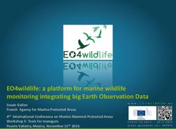 EO4wildlife: a platform for marine wildlife monitoring integrating big Earth Observation Data