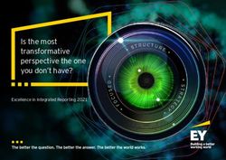 Is the most transformative perspective the one you don't have? - Excellence in Integrated Reporting 2021