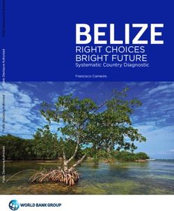 BELIZE RIGHT CHOICES BRIGHT FUTURE - Systematic Country Diagnostic - World Bank Group