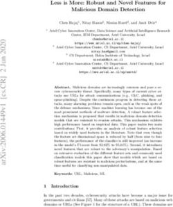 Less is More: Robust and Novel Features for Malicious Domain Detection