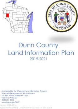 Dunn County Land Information Plan 2019-2021