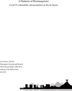 A Pandemic of Mismanagement Covid-19, vulnerability and necropolitics in Rio de Janeiro