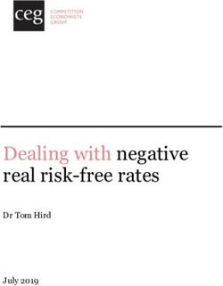 Dealing with negative real risk-free rates - Dr Tom Hird July 2019 - Commerce Commission