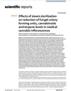 Effects of steam sterilization on reduction of fungal colony forming units, cannabinoids and terpene levels in medical cannabis inflorescences