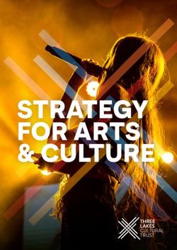 STRATEGY FOR ARTS & CULTURE - Three Lakes Cultural Trust