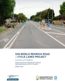 SH6 MIDDLE RENWICK ROAD - CYCLE LANES PROJECT - Summary of Feedback