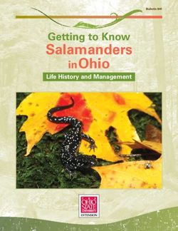 Salamanders Getting to Know - in Ohio - Ohio Woodland Stewards Program