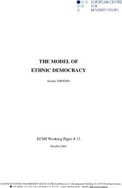 THE MODEL OF ETHNIC DEMOCRACY