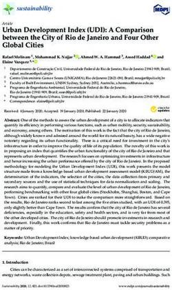 Urban Development Index (UDI): A Comparison between the City of Rio de Janeiro and Four Other Global Cities - MDPI