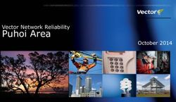 Puhoi Area Vector Network Reliability October 2014 - Puhoi NZ