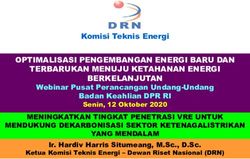 OPTIMALISASI PENGEMBANGAN ENERGI BARU DAN TERBARUKAN MENUJU KETAHANAN ...