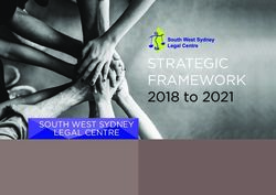 STRATEGIC FRAMEWORK 2018 TO 2021 - SOUTH WEST SYDNEY LEGAL CENTRE - SOUTH WEST ...