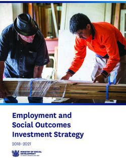 Employment and Social Outcomes Investment Strategy 2018-2021
