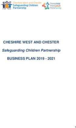 safeguarding partnership business plan