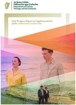 First Progress Report on Implementation of the Audiovisual Action Plan