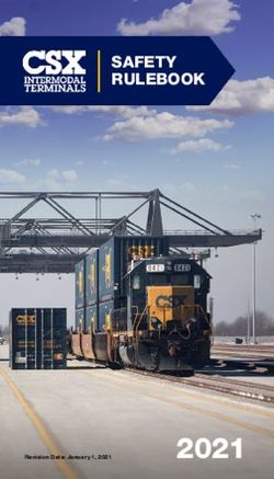 SAFETY RULEBOOK - CSX Intermodal Terminals