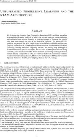 UNSUPERVISED PROGRESSIVE LEARNING AND THE STAM ARCHITECTURE