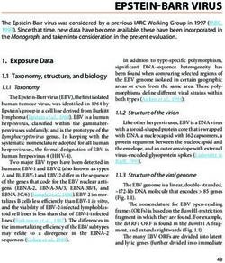 EPSTEIN-BARR VIRUS - IARC Monographs