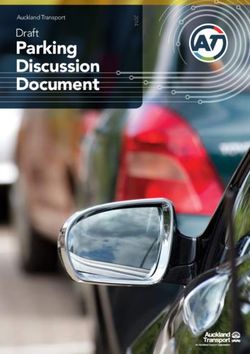 Parking Discussion Document - Draft Auckland Transport