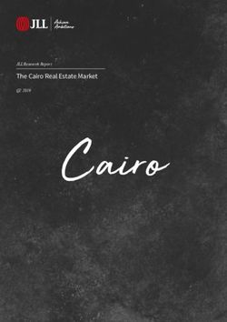 The Cairo Real Estate Market - Q2 2019 JLL Research Report