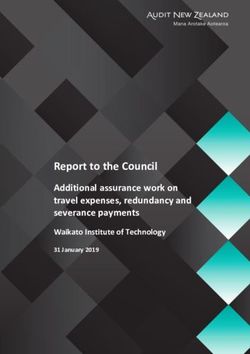 Report to the Council - Additional assurance work on travel expenses, redundancy and severance payments - Tertiary Insight