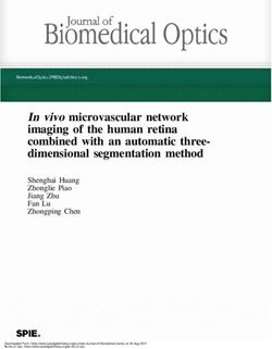 Invivo microvascular network imaging of the human retina combined with an automatic three-dimensional segmentation method - SPIE Digital Library