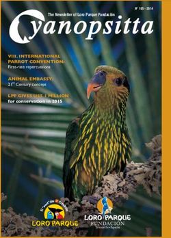 VIII. INTERNATIONAL PARROT CONVENTION: First-rate repercussions ANIMAL EMBASSY: Loro Parque Fundación
