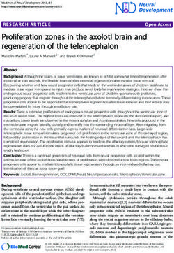 Proliferation zones in the axolotl brain and regeneration of the telencephalon